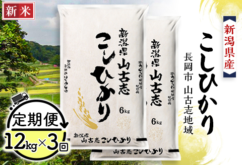 75-BY123【3ヶ月連続お届け】新潟県長岡産コシヒカリ山古志地域棚田米12kg