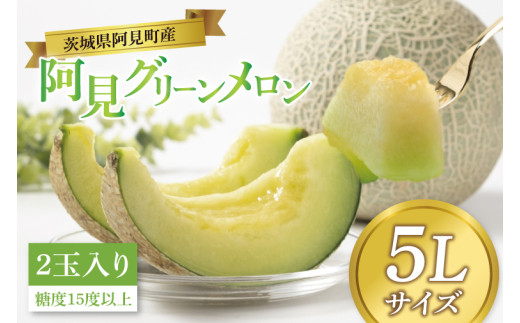 阿見グリーンメロン 5Ｌサイズ (2玉入り)(化粧箱) 青肉 高糖度 高級 甘い 夏限定 旬 フルーツ 果汁たっぷり 人気 産地直送 ギフト 茨城県 阿見町【先行予約｜2026年6月中旬より配送】（76-03）