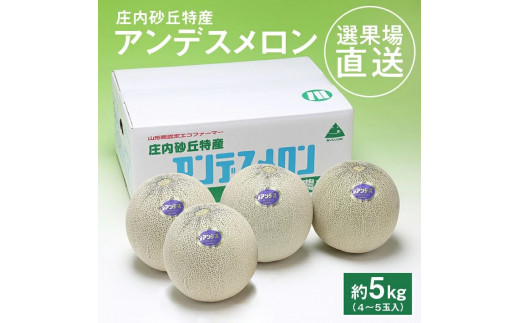 選果場からの直送メロン アンデスメロン 約5kg 4～5玉入り 6月下旬～7月下旬頃お届け 夏 青肉 果物 フルーツ 庄内砂丘メロン JA 農協 直送 東北 山形県 酒田市 庄内　JA庄内みどり　SA2954