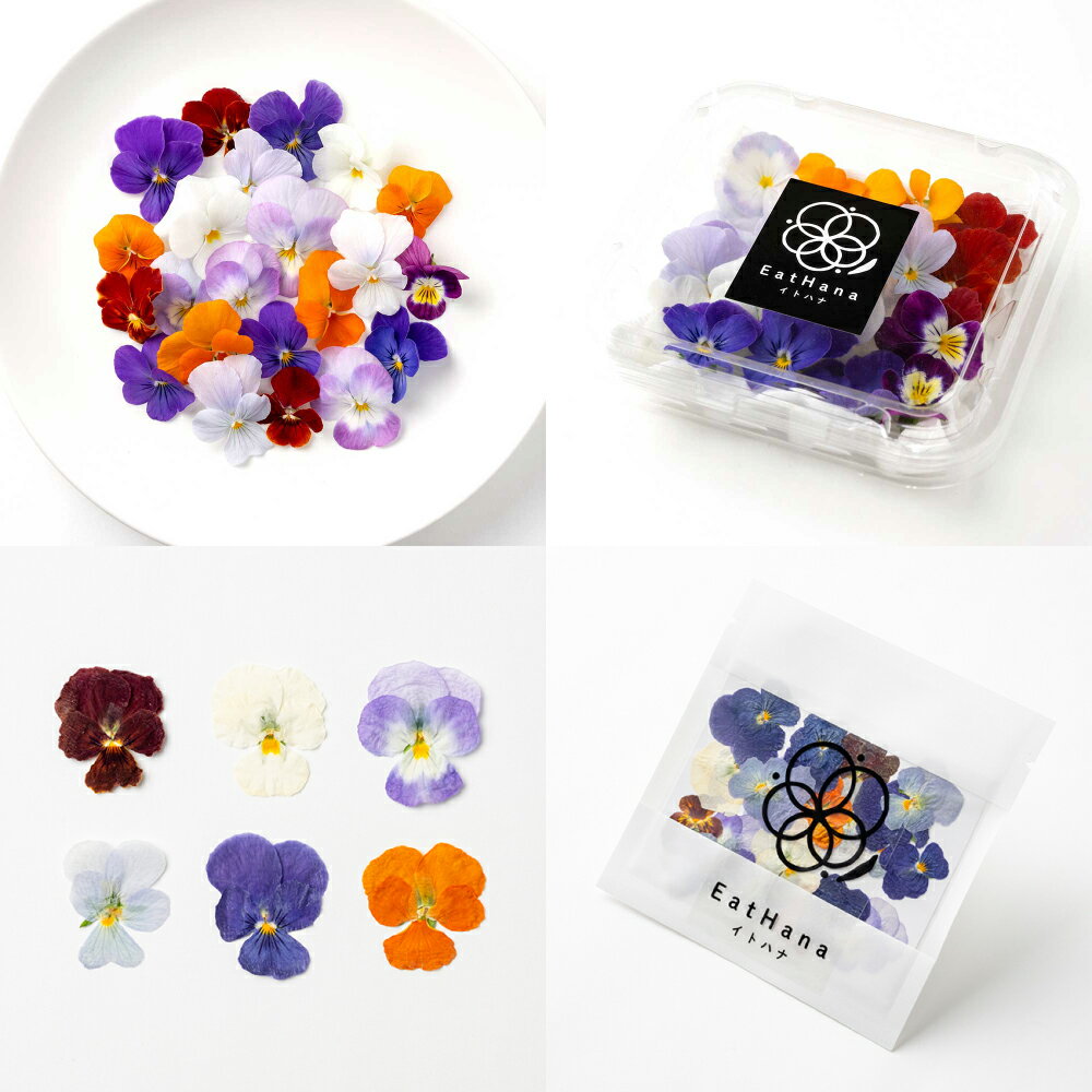 【ふるさと納税】エディブルフラワービオラMIX（20輪入り）2種4パックセット【食べられるお花 栽培期間中 農薬不使用】　食用花 農薬不使用 ギフト サプライズ