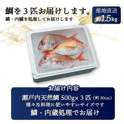 ふるさと納税 三原市 瀬戸内産 天然真鯛 約1.5kg(500g×3匹/鱗・内蔵処理)[154-001] |  | 03
