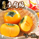 【ふるさと納税】【令和7年産 先行予約】厳選 庄内柿 L又は2Lサイズ　容量お選びください［約5kg(24～26個)・約10kg(48～52個) ］ 平核無柿 （種無し） | 山形県 鶴岡市 返礼品 楽天ふるさと 納税 フルーツ 果物 くだもの かき カキ お取り寄せ 国産 果実 ふるーつ