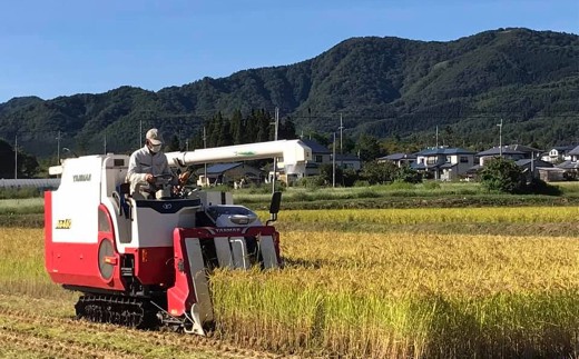 【令和8年産先行予約！】特別栽培米コシヒカリ　玄米　10kg(5kg×2袋)　3か月定期便(計30kg)　[米・食味分析鑑定コンクール国際大会 特別優秀賞受賞]　【07208-0994】