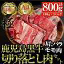 鹿児島黒牛 切り落とし肉詰め合わせ(650g×1パック) 国産 鹿児島県産 黒毛和牛 和牛 牛肉 肩肉 バラ肉 モモ肉 切り落とし 冷凍 詰め合わせ【佐多精肉店】