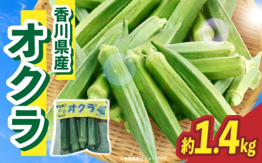 オクラ 約1.4kg |オクラ 野菜 ネバネバ 旬の野菜 旬 季節の野菜 季節 贈答 贈り物 ギフト プレゼント おすそ分け グルメ お取り寄せ 人気 おすすめ 特産 特産品 生鮮食品 香川県 三木町 |_mk006-122