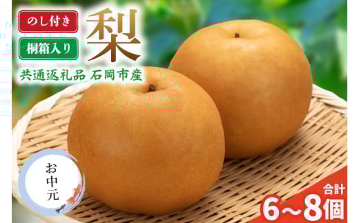 ＜のし付き＞お中元　梨　桐箱入り(6～8個)　県内共通返礼品 (BR151)
