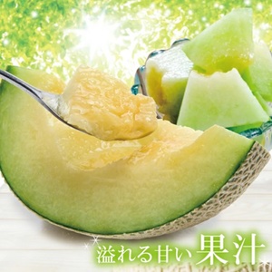 SA2948　美味しいメロンの食べ比べ 「秀品 青肉メロン＆赤肉メロン」　計2玉(各大玉3L・1玉)