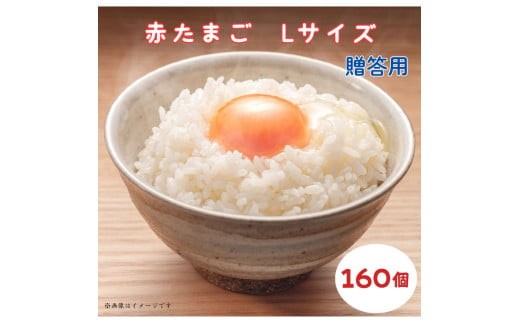 小川エッグの赤たまごLサイズ贈答用 160個 赤たまご たまご 卵 玉子 タマゴ 新鮮 旨み 甘み 贈答用 贈答 ギフト 贈り物 千葉県 匝瑳市