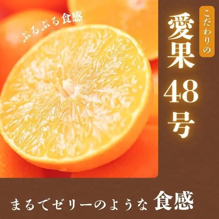 【先行予約】訳あり 愛果48号  プリンセス 5kg サイズミックス 愛媛県 愛南町 清水農園