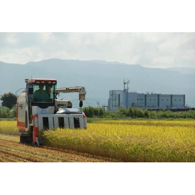 ふるさと納税 安芸市 《令和8年産》新嘗祭皇室献上農家が作った高知県産「よさ恋美人」5kg(白米) |  | 02