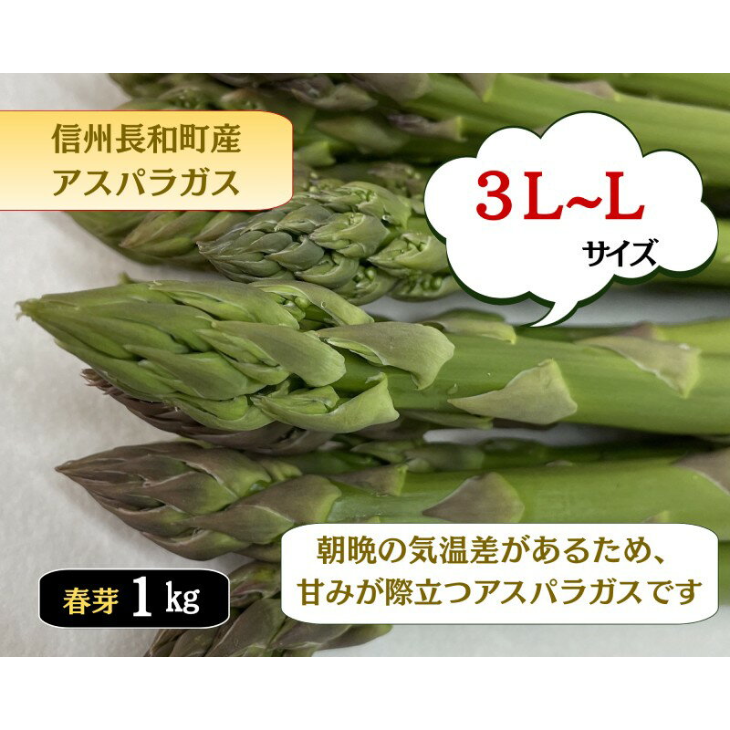 【ふるさと納税】グリーンアスパラガス詰め合わせ 太めの2Lサイズ 約1kg 野菜 野菜セット 　お届け：2026年4月上旬～5月下旬