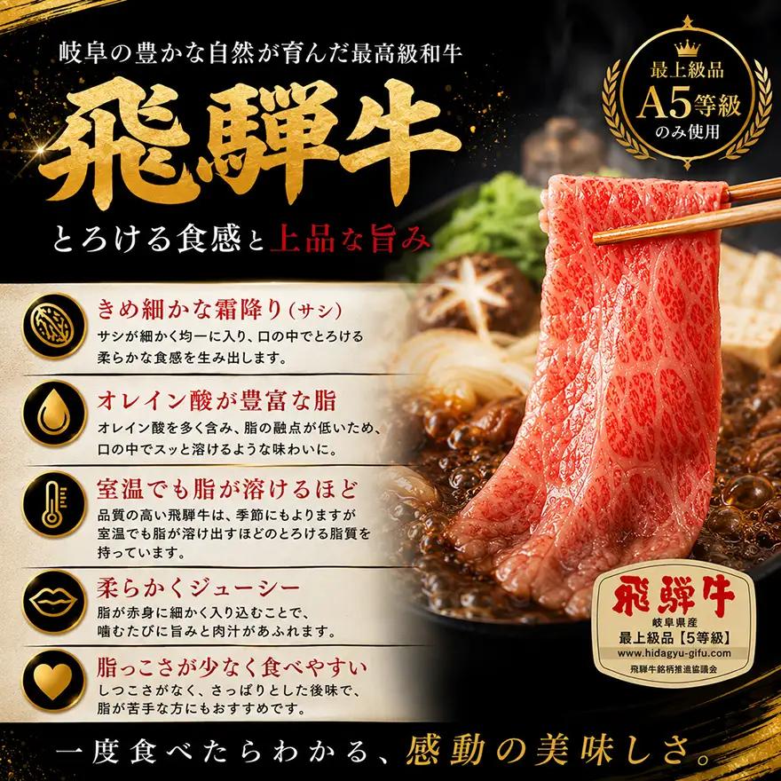 飛騨牛 牛肉 切り落とし 500g×2 計1kg A5 和牛 焼肉 もも肉 モモ バラ カルビ お肉 ブランド和牛 