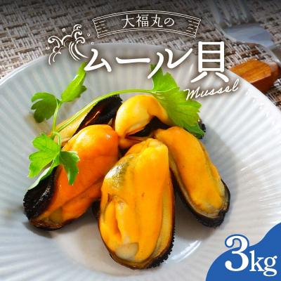 ふるさと納税 山田町 【9月以降順次発送】大福丸のムール貝 3kg【三陸山田産】【配送日指定不可】【沖縄・離島配送不可】