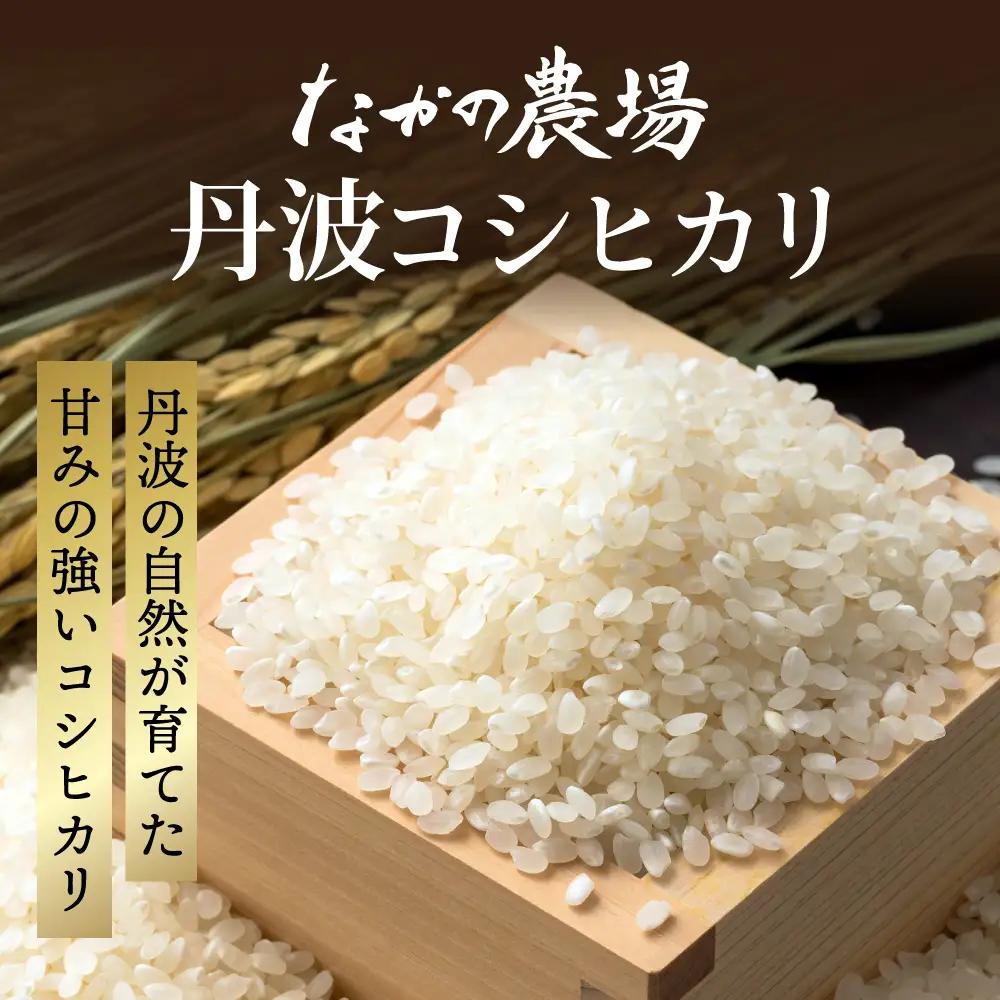 丹波コシヒカリ 白米 10kg 〈丹波市産〉 お米 白米