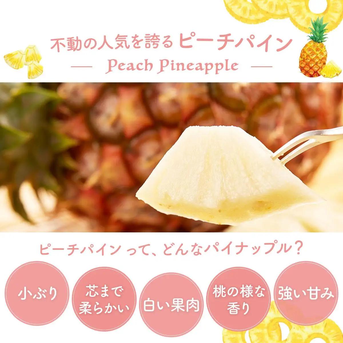 【2027年先行予約】ピーチパイン 約 2.2kg 