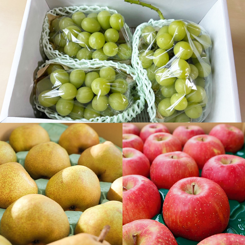 【定期便7回】ノノハナフルーツ 半年まるっと山形のフルーツ三昧 【令和8年産先行予約】FS25-076