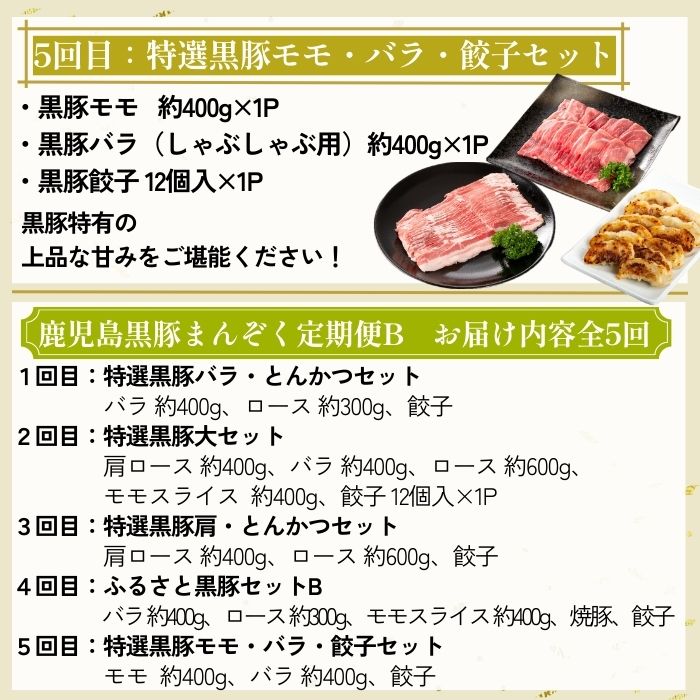 【D02007】 ＜定期便・全5回＞かごしま黒豚まんぞく定期便B (月1回×5ヶ月)_イメージ4