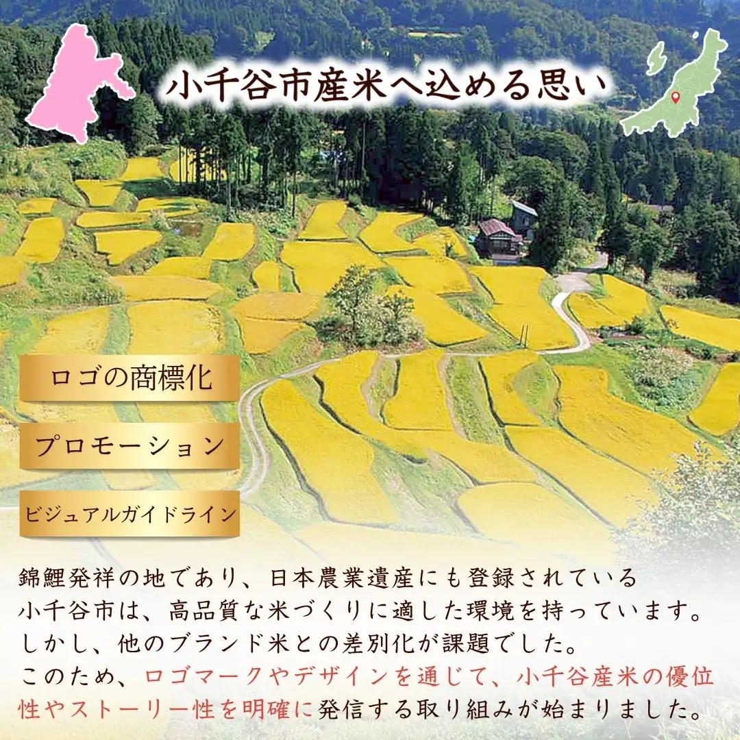 新潟産コシヒカリ 錦の実り Aランク 60kg | 10キロ×6回 定期便 新潟県 小千谷市 ブランド認証 令和7年
