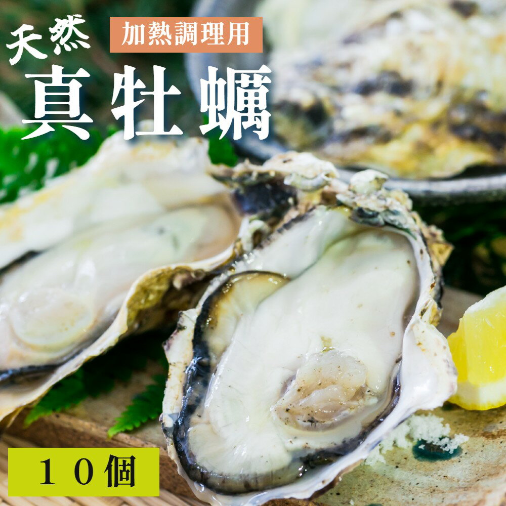 【ふるさと納税】 天然 活 真牡蠣 10個 加熱用｜牡蠣 カキ かき 天然牡蠣 日本海 舞鶴湾 直送 海鮮 京都 舞鶴 牡蠣小屋 美味星
