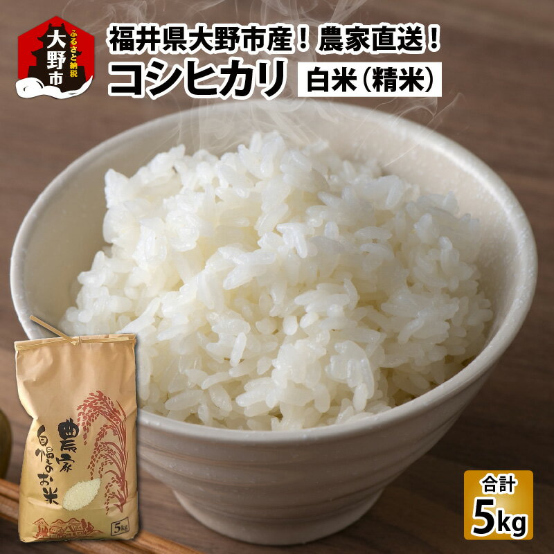 【ふるさと納税】【先行予約】【令和7年産 新米】福井県大野市産 コシヒカリ 白米 精米 5kg 農家直送 [A-013001]