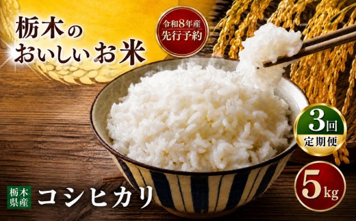 【先行予約】令和8年度産 [定期便3回 ] コシヒカリ  5kg| 米 お米 こめ ご飯 ごはん もちもち 栃木県 真岡市 送料無料