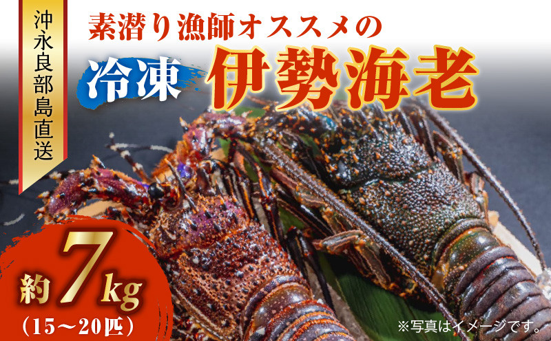 
                  沖永良部島直送！素潜り漁師オススメの冷凍伊勢海老 約7kg（15～20匹）！　W030-006u
                