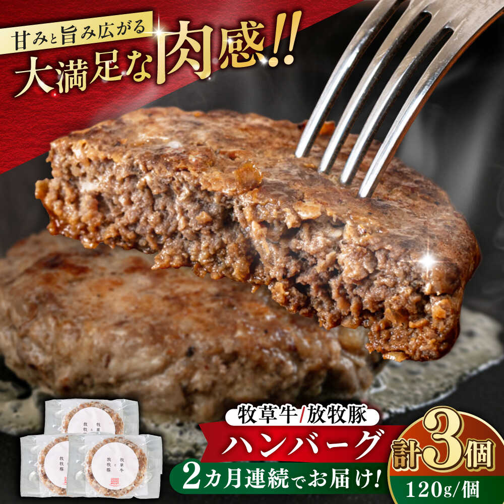 【ふるさと納税】【全2回定期便】　【牧草牛×放牧豚】ハンバーグ 3個 《厚真町》【GOODGOOD株式会社】 ハンバーグ 牛肉 豚肉 小分け 冷凍配送 北海道[AXBP022]