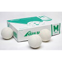 【ふるさと納税】軟式野球ボールM号1ダース(12個入り)　ボール・スポーツ用品