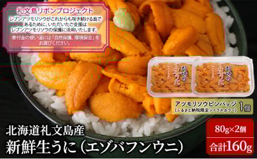 【礼文島リボンプロジェクト】北海道 礼文島産 新鮮生うに（ エゾバフンウニ）80g×2個 ウニ 雲丹