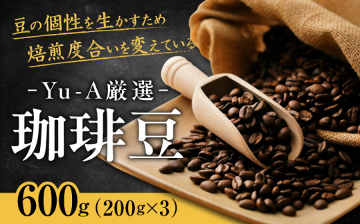 珈琲豆 600g（200g×3） ブレンド ロースト 焙煎 コーヒー こーひー ドリップ プレス オリジナル ブラジル コロンビア 珈琲 グラインド 豆挽 おすすめ 人気 3種類 詰め合わせ 飲み比べ セット 本格的 こだわり 喫茶店 カフェ おうちカフェ リラックス ギフト プレゼント 贈り物 贈答 送料無料 お取り寄せ 岐阜市 / 珈琲 Yu-A [ANDR001]