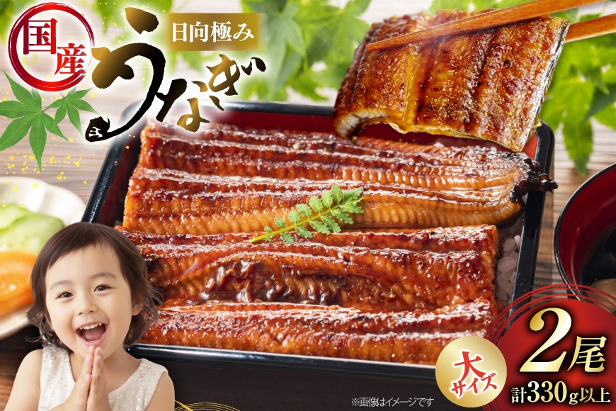 
                  うなぎ 国産 日向うなぎ 蒲焼 大 2尾 計330g以上 [日向サンパーク 宮崎県 日向市 452061756] ギフト 小分け 真空パック 鰻 ウナギ うなぎの蒲焼 蒲焼 蒲焼き
                