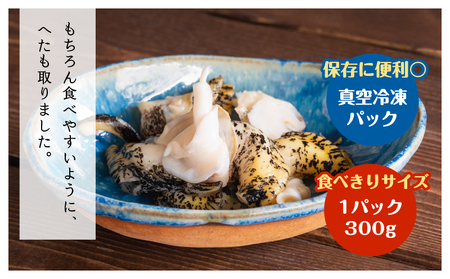 ＜全3回・連続＞灯台つぶ定期便【総重量2.7kg】_H0023-006