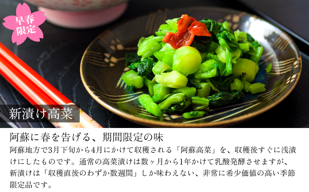 【今が旬！】春の「ひとくち阿蘇」セット 新漬け高菜3種食べ比べセット 阿蘇高菜 漬物 青高菜 青たかな 高菜漬け 高菜漬 高菜風味 お漬物  老舗 新漬け 浅漬 手作り 伝統 春限定 春の味覚 旬の高