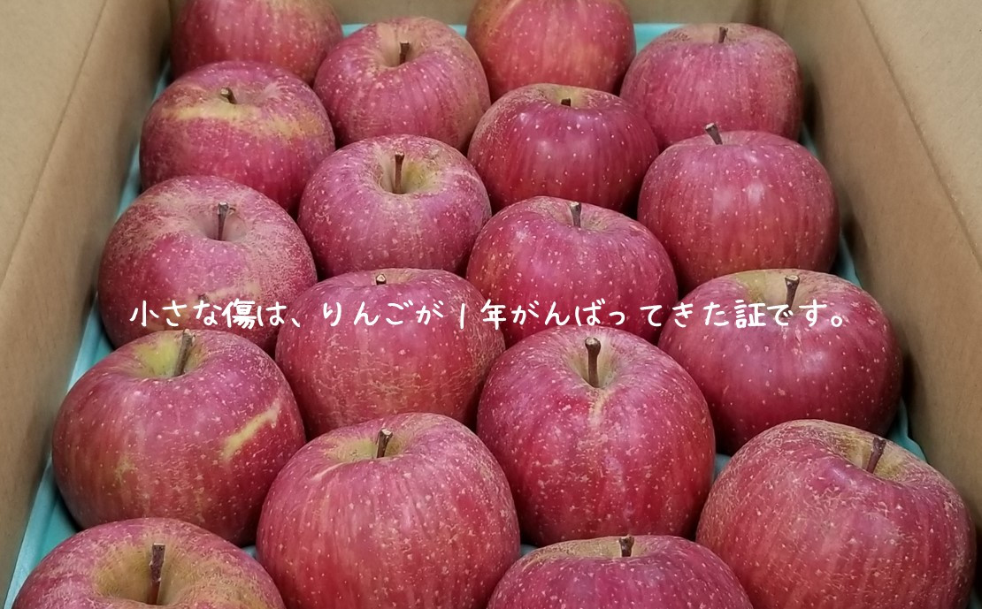 （写真はご家庭用の品質イメージです）