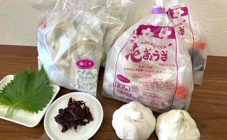 にんにく餃子(22個入り×2袋)と梅しそ餃子(22個入り×2袋)のセット 惣菜 冷凍餃子 中華 夕飯 夜ごはん おかず 食べ比べ おつまみ ビールのおつまみ 