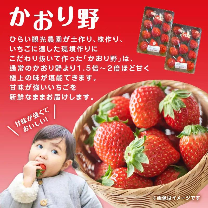 人気の2種いちご食べ比べセット「あまおう450g」＋「かおり野450g」合計900g｜2027年1月下旬～順次発送＜ひらい観光農園＞ いちご 苺 イチゴ フルーツ 果物 くだもの 065-001