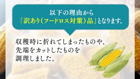 【 先行予約・7月中旬以降発送 】 【 訳あり 】 加熱調理済み 真空 とうもろこし 3品種 食べ比べ セット（ ゴールドラッシュ＆クリスピーホワイト＆おおもの ） 約3kg [AU076ya]