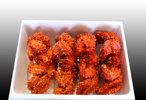 【北海道根室産】花咲かに400g前後～500g前後×4尾 C-70031