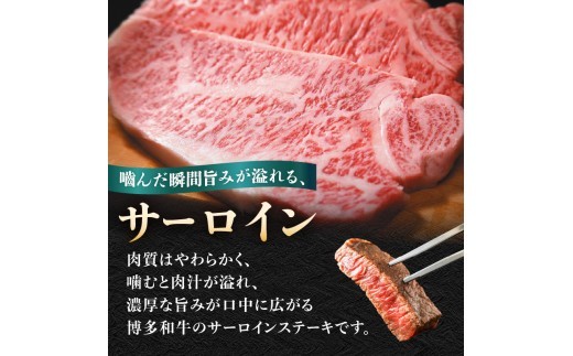 【A4～A5】博多和牛サーロインステーキ 500g