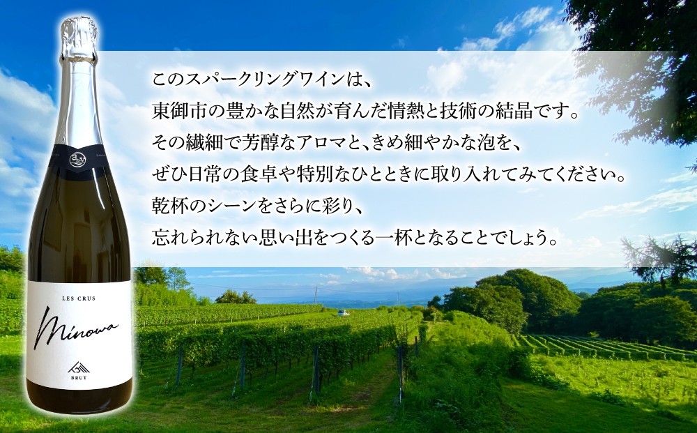 ※画像とはヴィンテージが異なる場合がございます