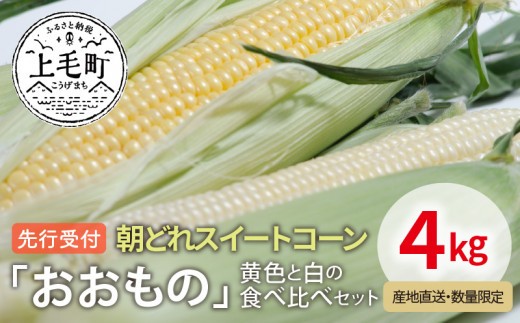 先行受付　朝どれスイートコーン「おおもの」黄色と白の食べ比べセット4kg【産地直送・数量限定】YF0604