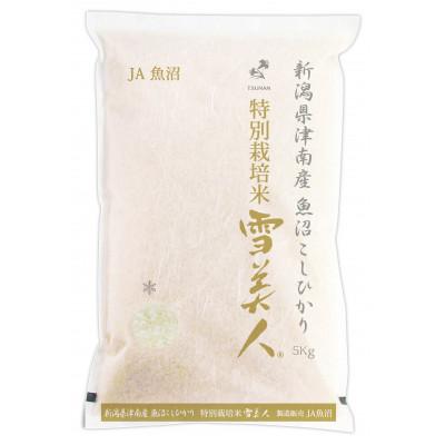 ふるさと納税 津南町 【令和7年産】魚沼津南産コシヒカリ特別栽培米「雪美人」5kg