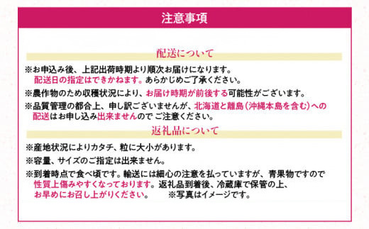 あまおう ギフト箱 約300g 苺 果物 冷蔵 箱入り ギフト 贈り物 送料無料 イチゴ フルーツ ※北海道・沖縄・離島は配送不可 大木町産 南国フルーツ CO005