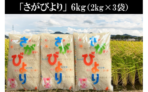 
佐賀産さがびより2kg×3袋
