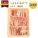 【ふるさと納税】くまもとあか牛 カルビ 焼肉用 約500g×1パック あか牛 牛肉 和牛 赤身肉 肉 カルビ バラ肉 国産 九州産 熊本県産 焼肉 食品 冷凍 送料無料