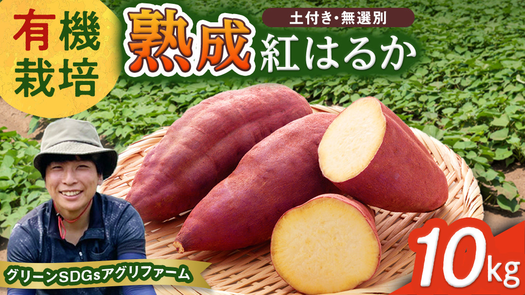 
                  茨城県産 紅はるか 10kg 土付き 無選別 熟成 さつまいも 生芋 芋 サツマイモ 農薬不使用 化学肥料不使用 甘い 焼き芋 スイートポテト ねっとり
                