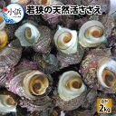 【ふるさと納税】若狭湾直送！天然活さざえ 2kg／ 送料無料 [A-087004]