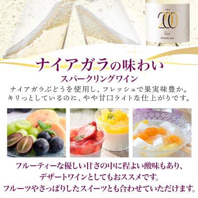 ふるさと納税 湯浅町 スパークリングワイン ナイアガラ 10度 750ml 1本 果実酒 発泡ワイン 湯浅ワイナリー |  | 02