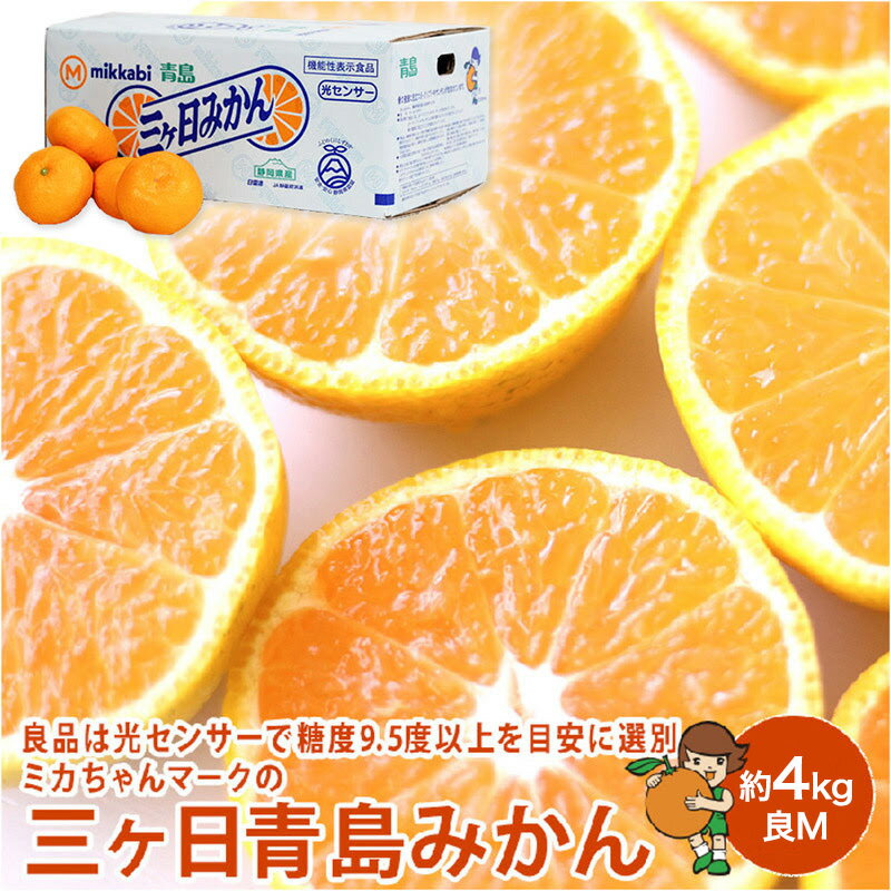 【ふるさと納税】ミカちゃんマークの三ヶ日青島みかん 良M 約4kg（目安：約34個） みかん ミカン 果物 フルーツ 静岡 浜松市　お届け：2025年12月15日～2026年3月31日まで