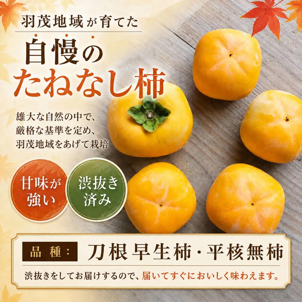 柿 たねなし柿 10kg 訳あり 大玉